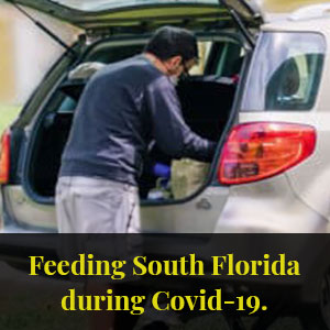 Food Distribution Finder